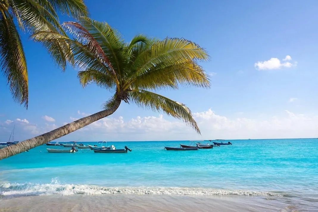 Experience Tranquility And Comfort Accommodation, Near Main Attractions In Riviera Maya Lafitte México