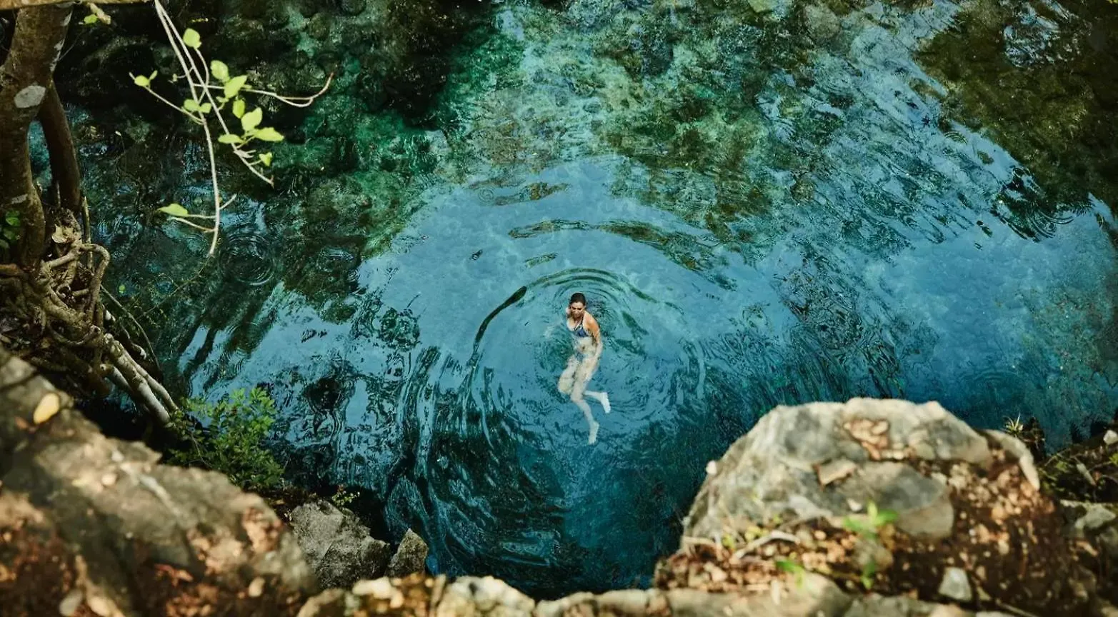 Experience Tranquility And Comfort Accommodation, Near Main Attractions In Riviera Maya Lafitte